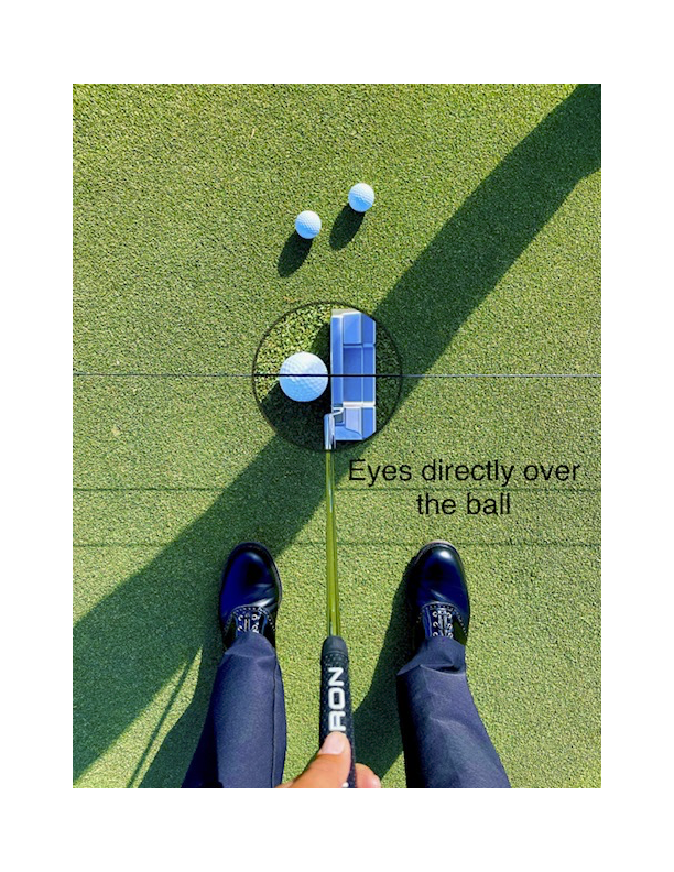 Dubline Putting Pegs