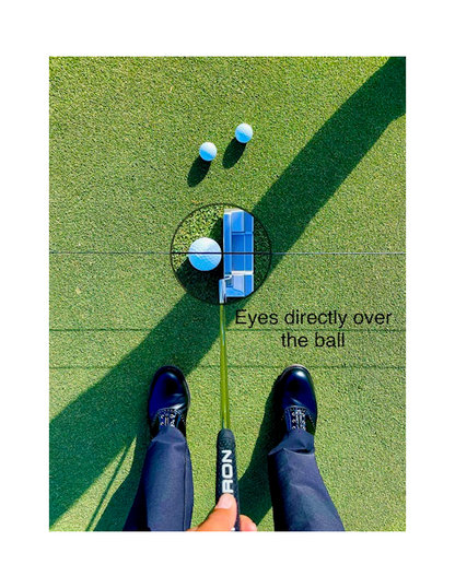 Dubline Putting Pegs