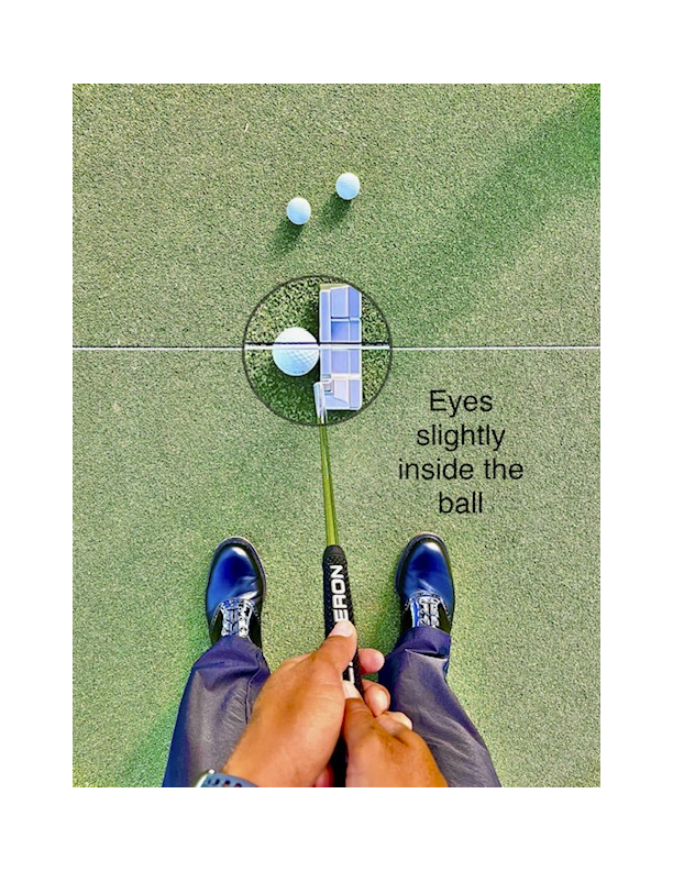 Dubline Putting Pegs