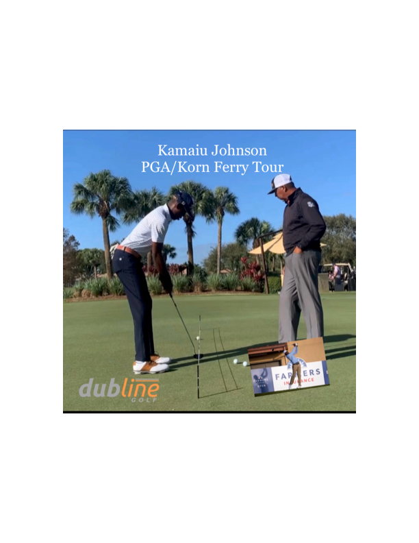 Dubline Putting Pegs