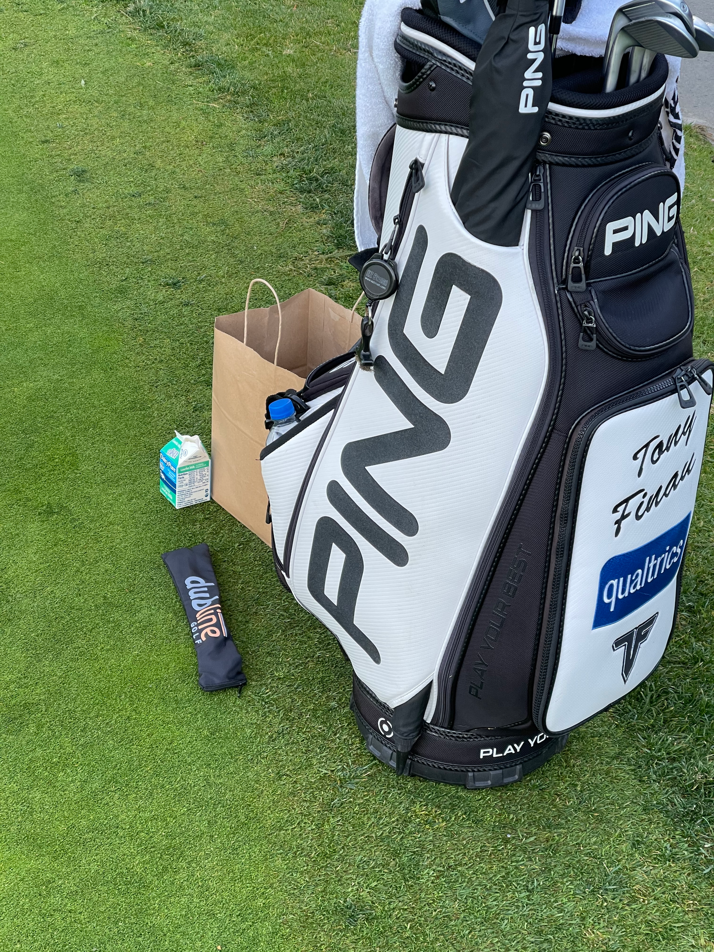 Dubline Putting Pegs