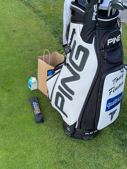 Dubline Putting Pegs