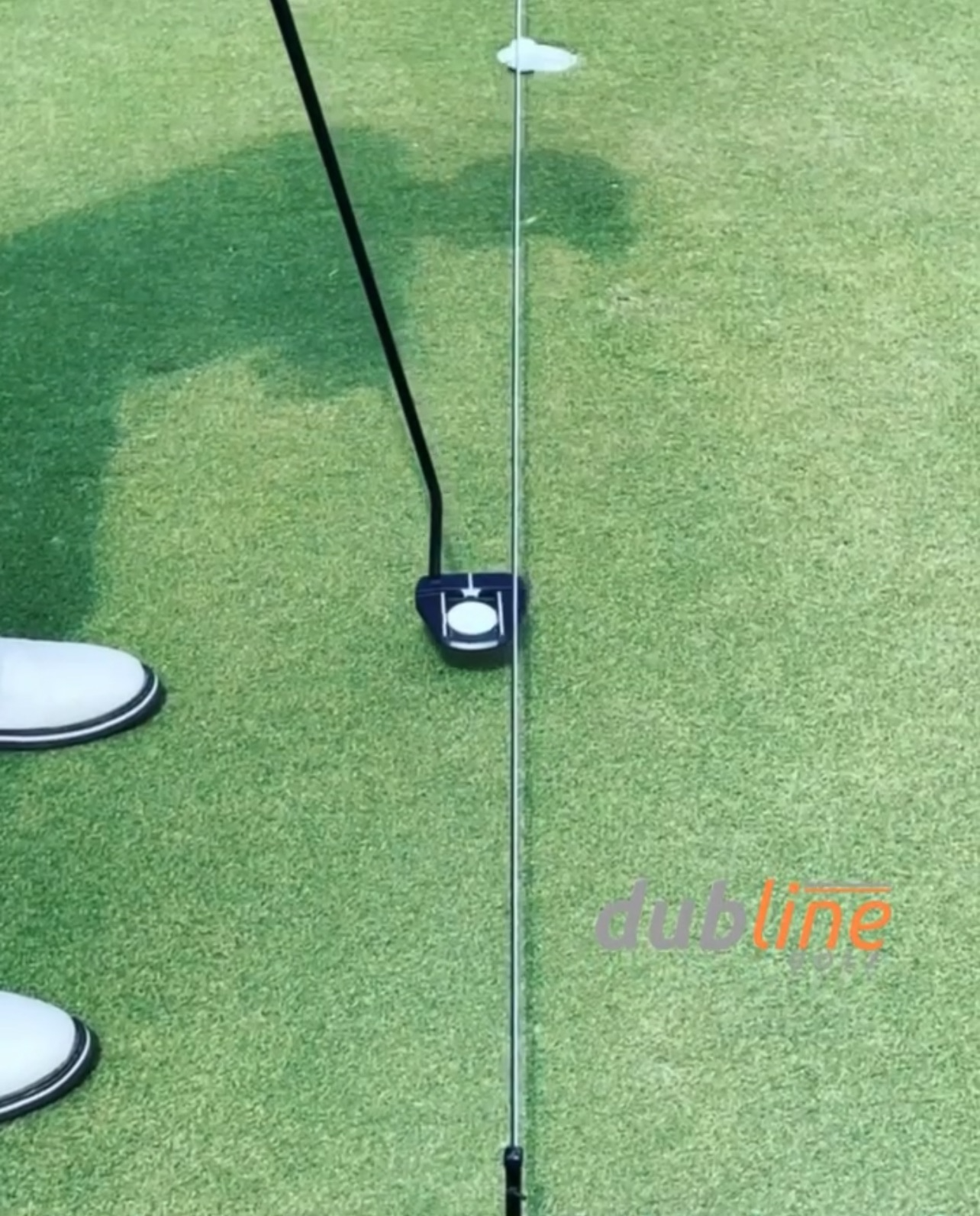 Dubline Putting Pegs